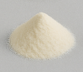 Lactobacillus Casei
